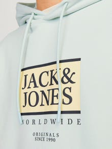 Jack & Jones Spausdintas raštas Megztinis su gobtuvu -Skylight - 12252409