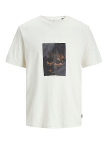 Jack & Jones Z fotonadrukiem Okrągły dekolt T-shirt -Tofu - 12252521
