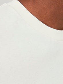 Jack & Jones Valokuvaprintti Pyöreä pääntie T-paita -Tofu - 12252521