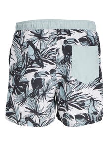 Jack & Jones Regular Fit Swim shorts -Gray Mist - 12253217