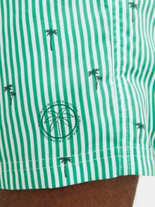 Jack & Jones Pantaloncini da mare Regular Fit -Green Bee - 12253240