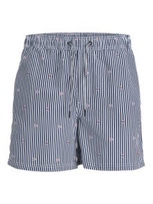 Jack & Jones Regular Fit Swim shorts -Navy Blazer - 12253240