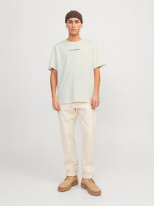 Jack & Jones RDD Trykk O-hals T-skjorte -Egret - 12253394