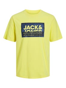Jack & Jones Logo Ümmargune kaelus T-särk -Lemon Verbena - 12253442
