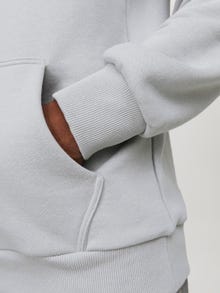 Jack & Jones Painettu Huppari -High-rise - 12253562
