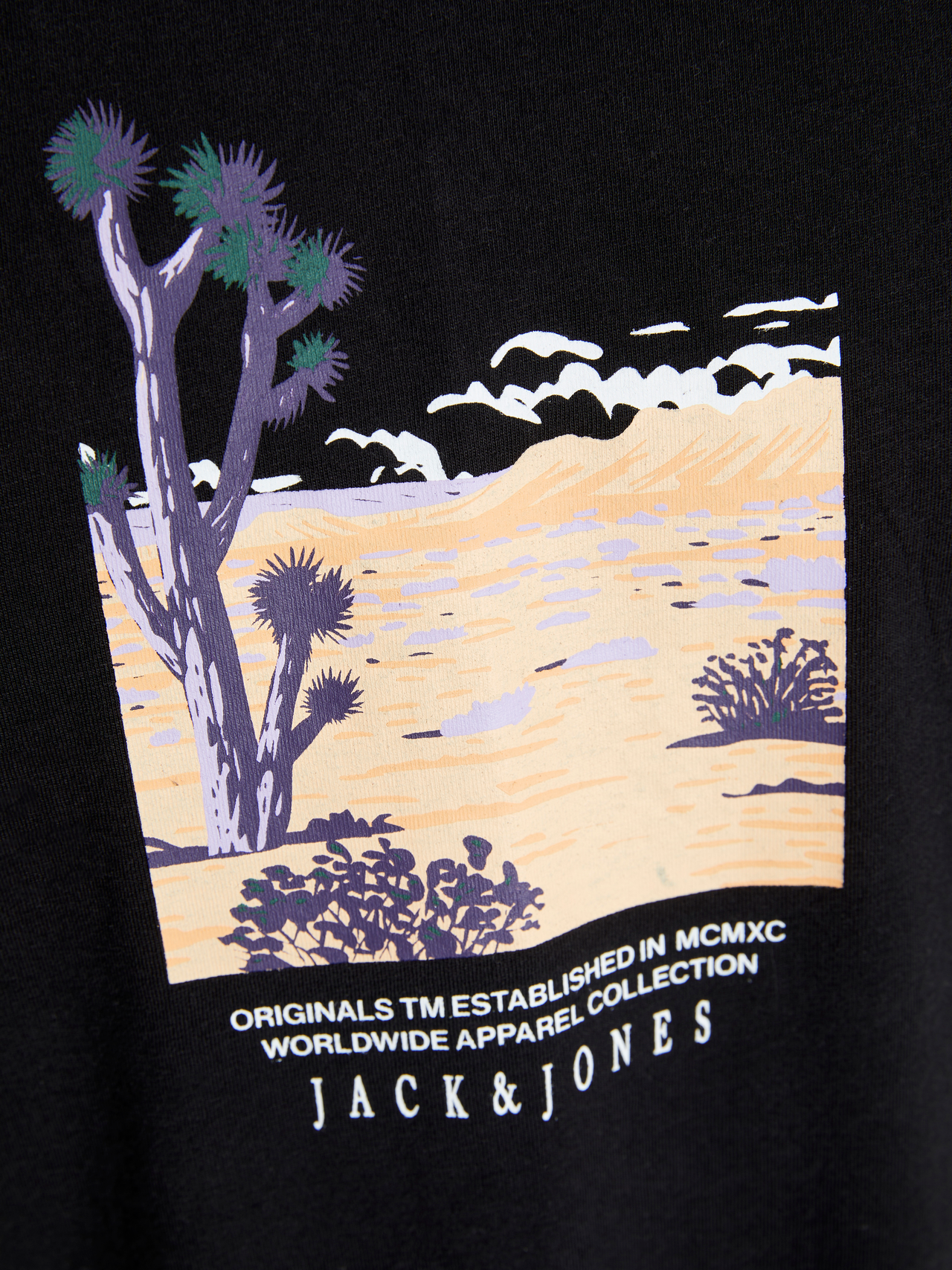 Jack & Jones Spausdintas raštas Apskritas kaklas Marškinėliai -Black - 12253613