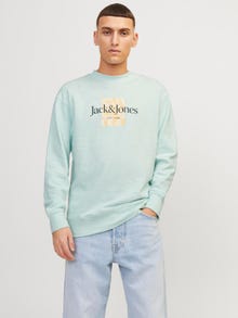 Jack & Jones Gedruckt Sweatshirt mit Rundhals -Skylight - 12253652