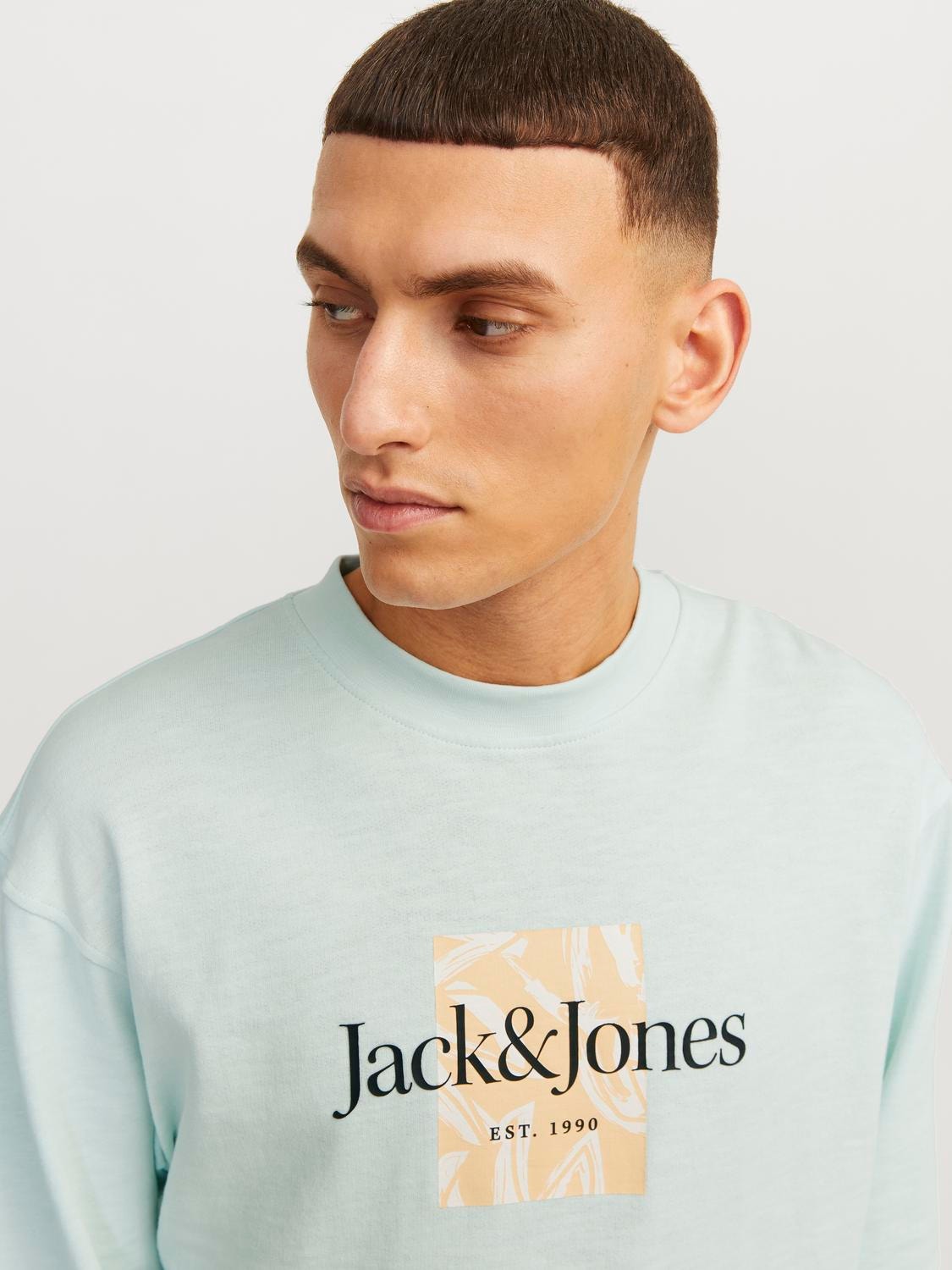 Jack & Jones Printed Crewn Neck Sweatshirt -Skylight - 12253652