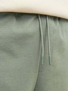 Jack & Jones Regular Fit Sweat shorts -Agave Green - 12253729