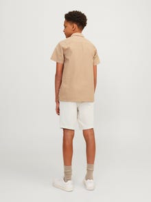 Jack & Jones Relaxed Fit Shorts Til drenge -Moonbeam - 12253800