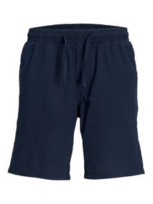 Jack & Jones Jogger Fit Regular fit shorts For boys -Sky Captain - 12253801