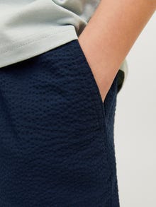 Jack & Jones Jogger Fit Šortai Jaunimui -Sky Captain - 12253801