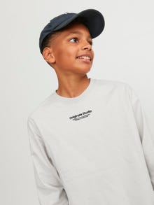 Jack & Jones Bedrukt T-shirt Voor jongens -Moonbeam - 12253958