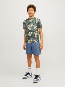 Jack & Jones Poikien All Over Print T-paita -Laurel Wreath - 12254029