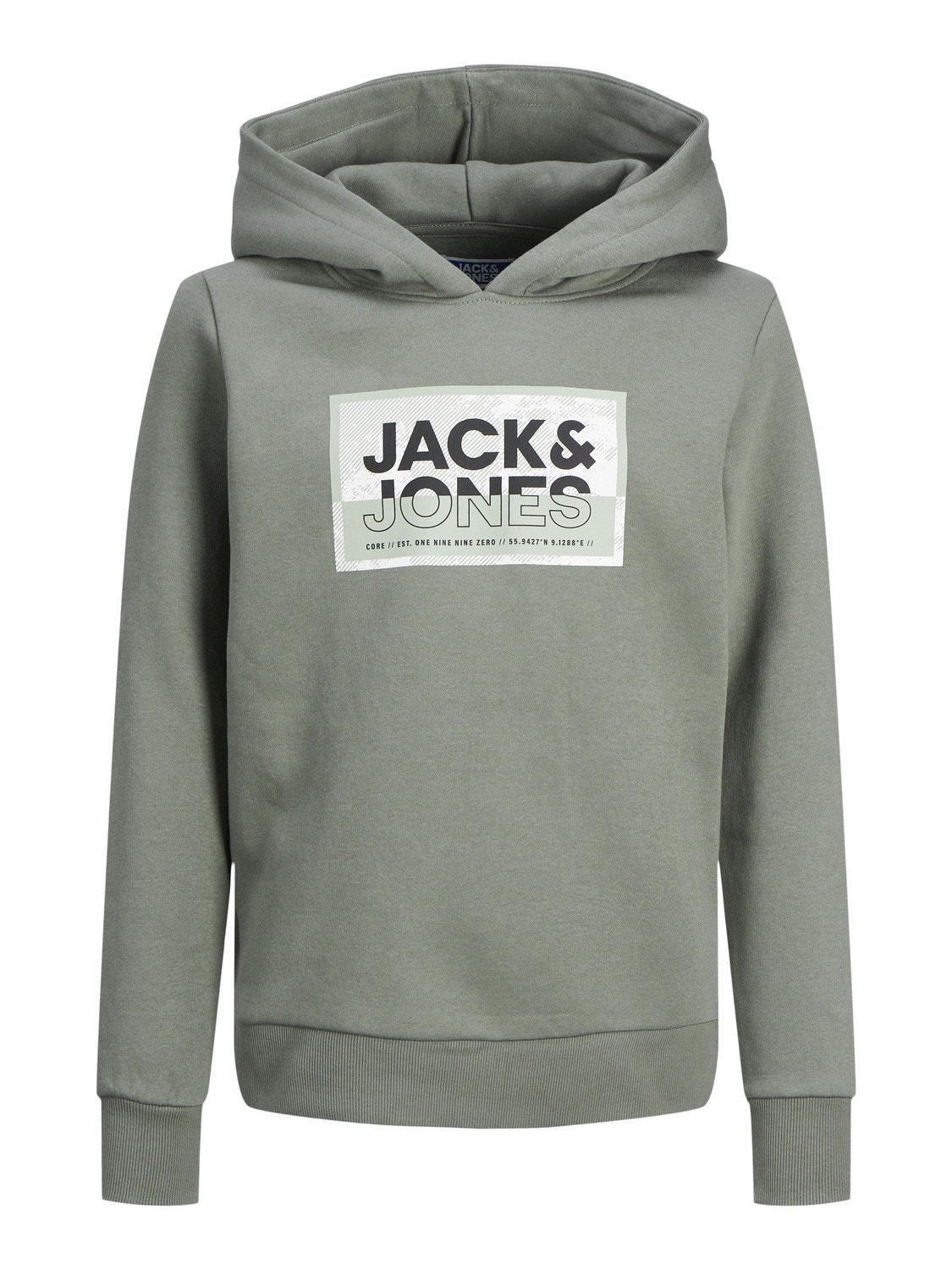 Jack & Jones Sweat à capuche Imprimé Pour les garçons -Agave Green - 12254120