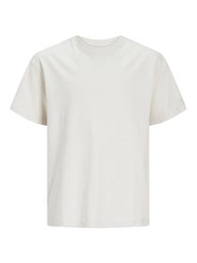 Jack & Jones Printed T-shirt For boys -Moonbeam - 12254185