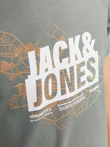 Jack & Jones Printet T-shirt Til drenge -Agave Green - 12254186