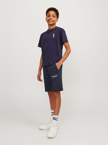 Jack & Jones Loose Fit Prakaito šortai For boys -Sky Captain - 12254196