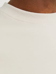 Jack & Jones Enfärgat Rundringning T-shirt -Moonbeam - 12254412