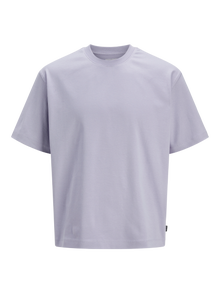 Jack & Jones Vienspalvis Marškinėliai -Cosmic Sky - 12254412