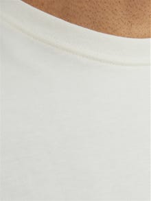 Jack & Jones RDD Gładki Okrągły dekolt T-shirt -Egret - 12254551