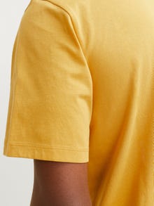 Jack & Jones Logotyp Rundringning T-shirt -Honey Gold - 12254862
