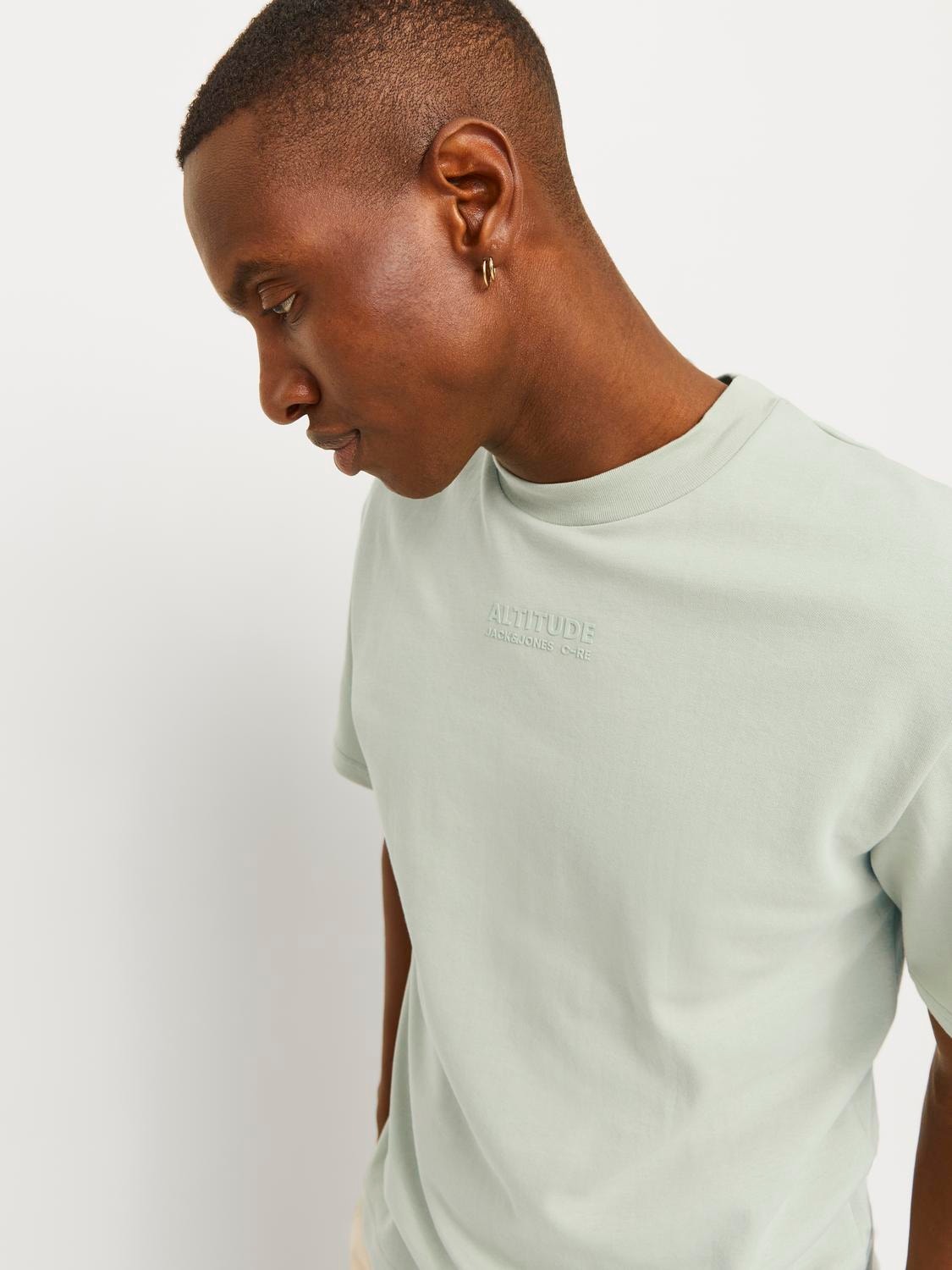 Jack & Jones Printed Crew neck T-shirt -Desert Sage - 12254988