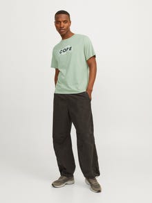 Jack & Jones Trükitud Ümmargune kaelus T-särk -Desert Sage - 12255026