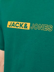 Jack & Jones Spausdintas raštas Apskritas kaklas Marškinėliai -Storm - 12255043