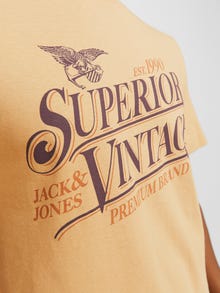 Jack & Jones Tryck Rundringning T-shirt -Sand - 12255163