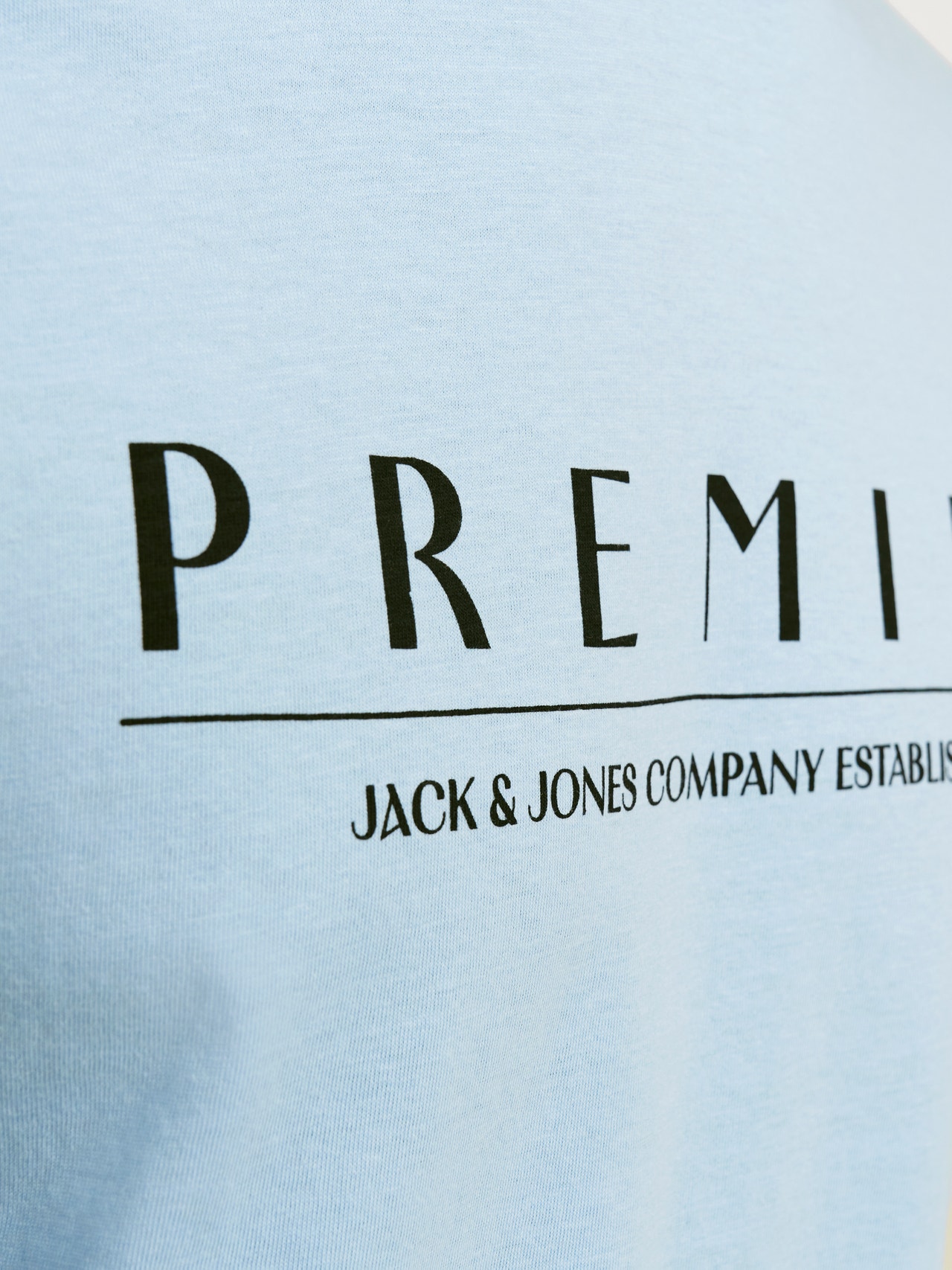 Jack & Jones Printet Crew neck T-shirt -Dutch Canal - 12255164
