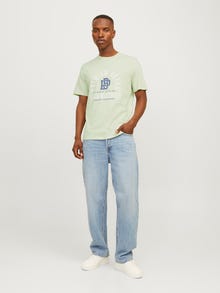 Jack & Jones Trükitud Ümmargune kaelus T-särk -Green Tint - 12255165