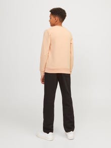 Jack & Jones Printed Crew neck Sweatshirt For boys -Apricot Ice  - 12255256
