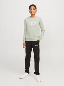 Jack & Jones Bedrukt Sweatshirt met ronde hals Voor jongens -Desert Sage - 12255256