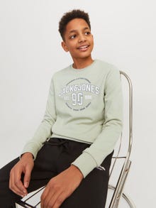 Jack & Jones Bedrukt Sweatshirt met ronde hals Voor jongens -Desert Sage - 12255256