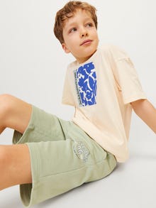 Jack & Jones Slim Fit Prakaito šortai For boys -Desert Sage - 12255265