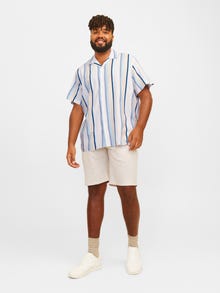 Jack & Jones Plus Size Loose Fit Overhemd -Dutch Canal - 12255270