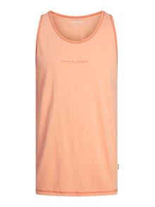 Jack & Jones Spausdintas raštas Apskritas kaklas Berankoviai marškinėliai -Canyon Sunset - 12255383