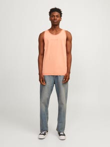 Jack & Jones Camisola regata Estampar Decote Redondo -Canyon Sunset - 12255383