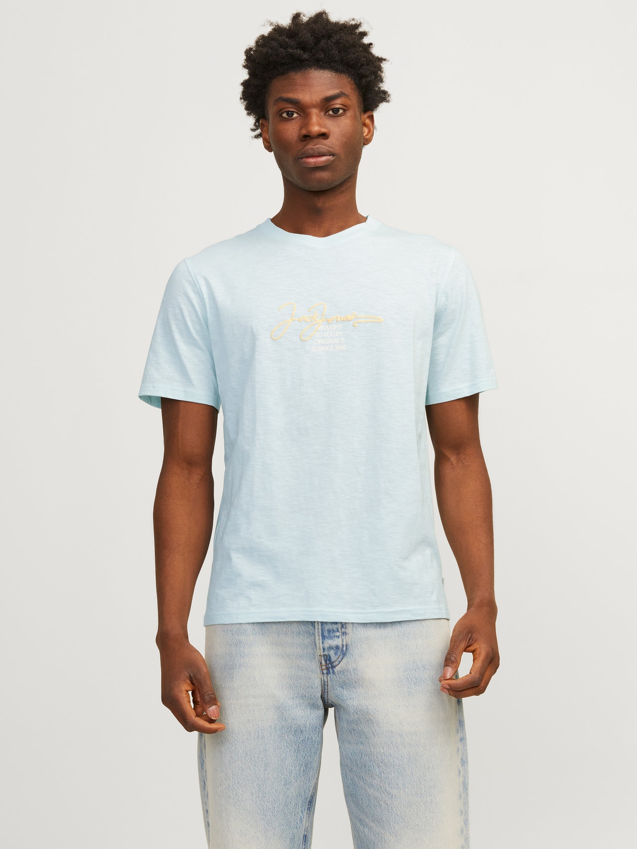 Jack & Jones Καλοκαιρινό μπλουζάκι -Skylight - 12255452