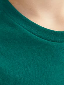 Jack & Jones Bedrukt T-shirts Junior -Storm - 12255503
