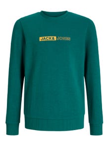 Jack & Jones Printed Crew neck Sweatshirt For boys -Storm - 12255504