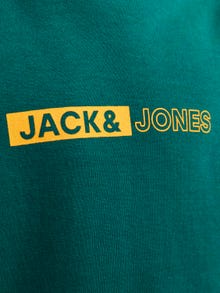 Jack & Jones Sweat à col rond Imprimé Pour les garçons -Storm - 12255504