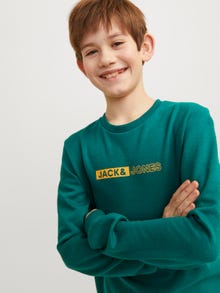 Jack & Jones Printed Crew neck Sweatshirt For boys -Storm - 12255504