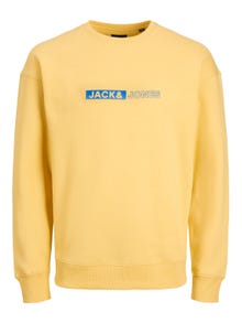 Jack & Jones Gedrukt Sweatshirt met ronde hals Voor jongens -Jojoba - 12255504