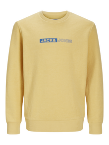 Jack & Jones Junior Painettu Svetari -Jojoba - 12255504