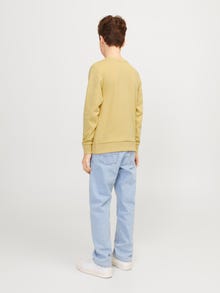 Jack & Jones Junior Painettu Svetari -Jojoba - 12255504