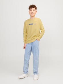 Jack & Jones Junior Painettu Svetari -Jojoba - 12255504