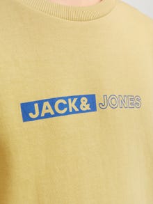 Jack & Jones Junior Painettu Svetari -Jojoba - 12255504