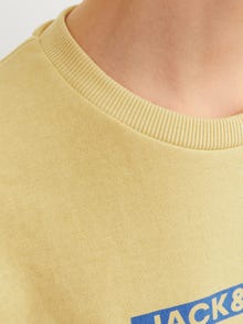 Jack & Jones Junior Painettu Svetari -Jojoba - 12255504
